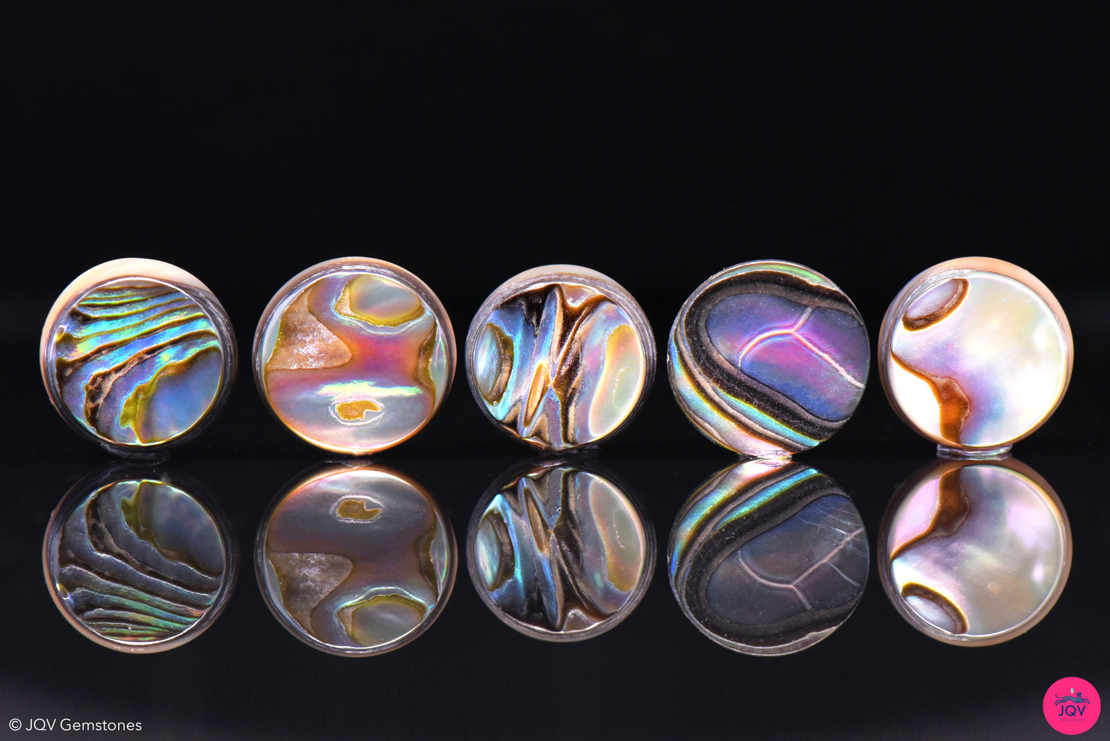 Abalone Shell
